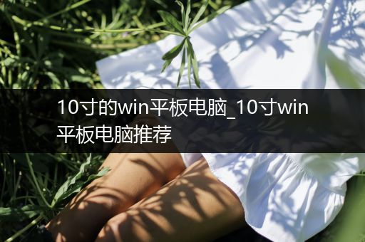 10寸的win平板电脑_10寸win平板电脑推荐