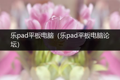 乐pad平板电脑（乐pad平板电脑论坛）