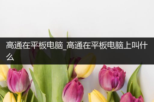 高通在平板电脑_高通在平板电脑上叫什么