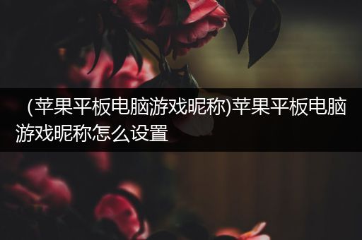 （苹果平板电脑游戏昵称)苹果平板电脑游戏昵称怎么设置