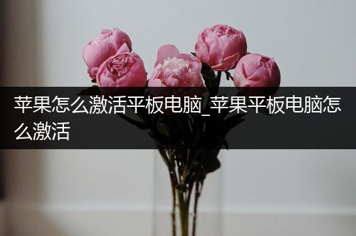 苹果怎么激活平板电脑_苹果平板电脑怎么激活