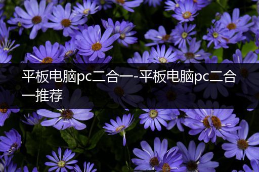 平板电脑pc二合一-平板电脑pc二合一推荐