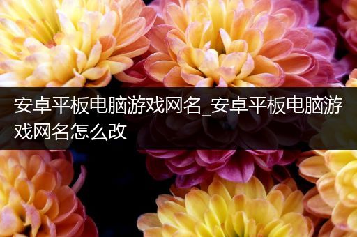 安卓平板电脑游戏网名_安卓平板电脑游戏网名怎么改