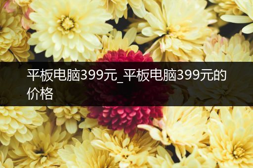 平板电脑399元_平板电脑399元的价格