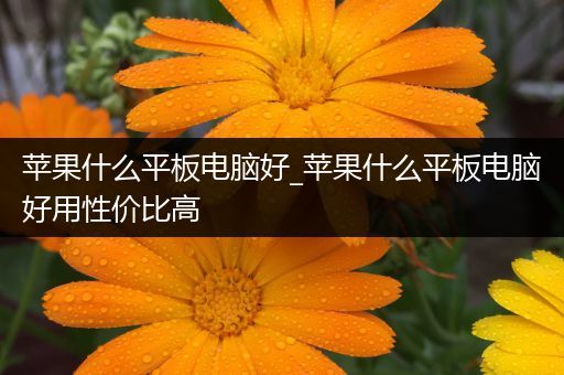 苹果什么平板电脑好_苹果什么平板电脑好用性价比高