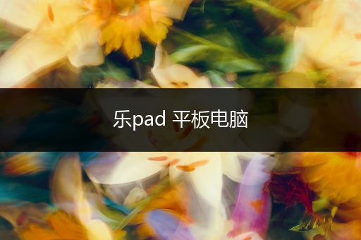 乐pad 平板电脑