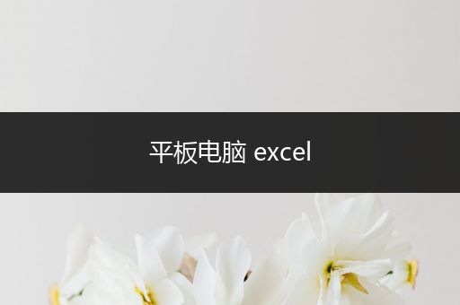 平板电脑 excel