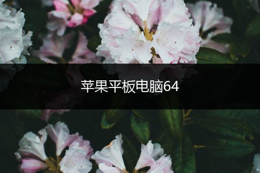 苹果平板电脑64