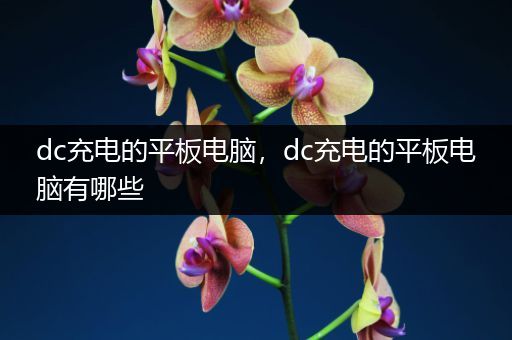 dc充电的平板电脑，dc充电的平板电脑有哪些