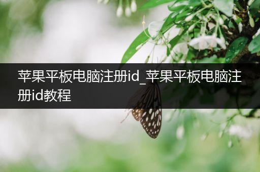 苹果平板电脑注册id_苹果平板电脑注册id教程