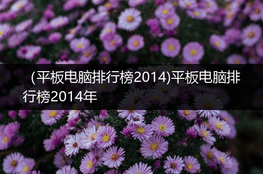 （平板电脑排行榜2014)平板电脑排行榜2014年