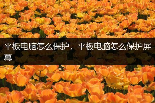 平板电脑怎么保护，平板电脑怎么保护屏幕