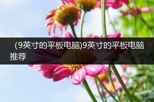 （9英寸的平板电脑)9英寸的平板电脑推荐