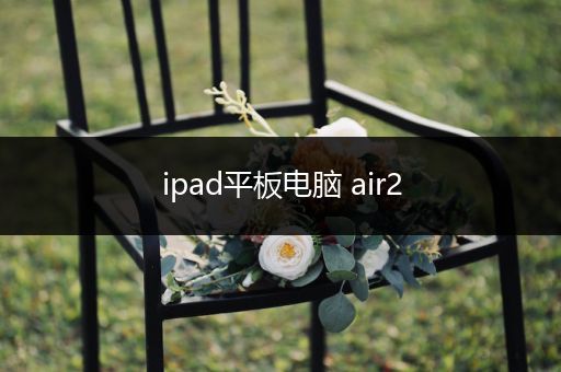 ipad平板电脑 air2