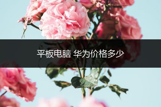 平板电脑 华为价格多少