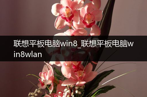 联想平板电脑win8_联想平板电脑win8wlan