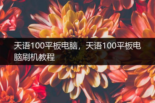 天语100平板电脑，天语100平板电脑刷机教程