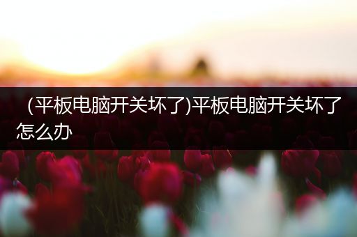 （平板电脑开关坏了)平板电脑开关坏了怎么办