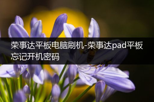 荣事达平板电脑刷机-荣事达pad平板忘记开机密码