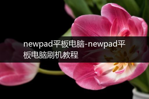 newpad平板电脑-newpad平板电脑刷机教程