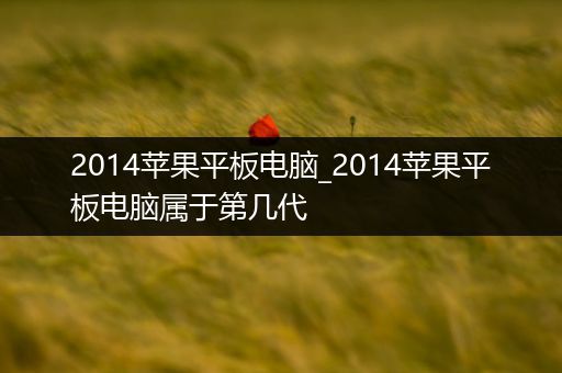 2014苹果平板电脑_2014苹果平板电脑属于第几代