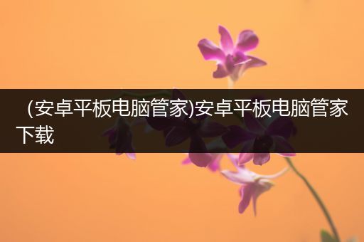 （安卓平板电脑管家)安卓平板电脑管家下载