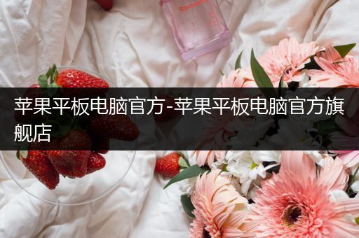 苹果平板电脑官方-苹果平板电脑官方旗舰店
