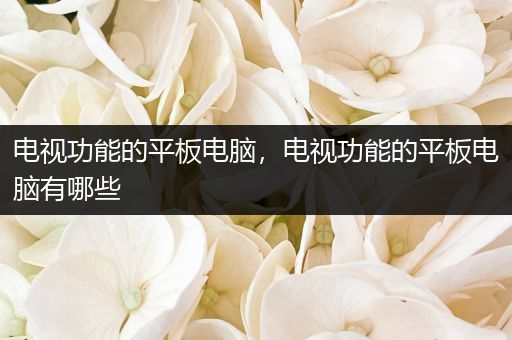 电视功能的平板电脑，电视功能的平板电脑有哪些