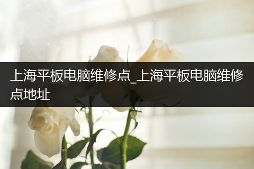 上海平板电脑维修点_上海平板电脑维修点地址