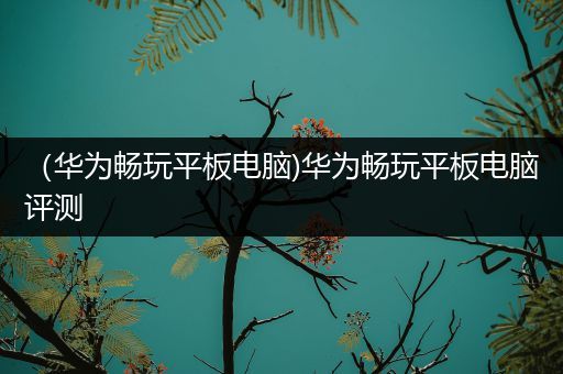 （华为畅玩平板电脑)华为畅玩平板电脑评测