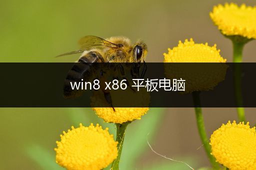 win8 x86 平板电脑