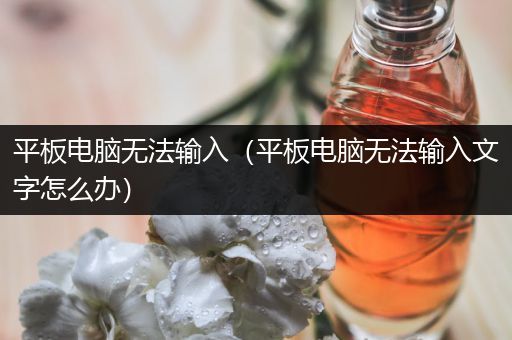 平板电脑无法输入（平板电脑无法输入文字怎么办）