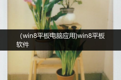 （win8平板电脑应用)win8平板软件