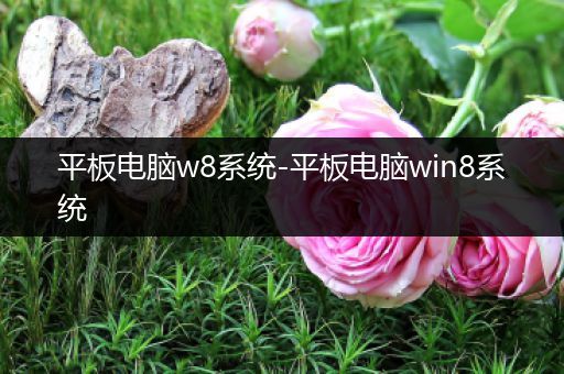 平板电脑w8系统-平板电脑win8系统