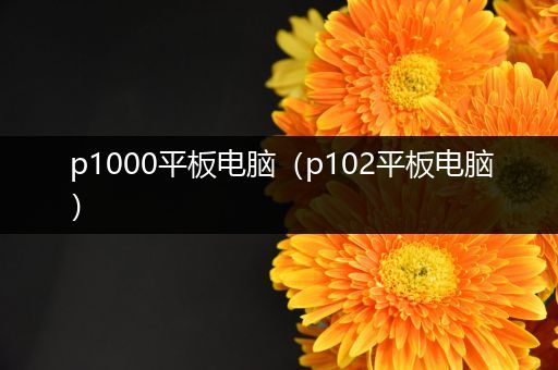 p1000平板电脑（p102平板电脑）