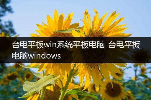 台电平板win系统平板电脑-台电平板电脑windows