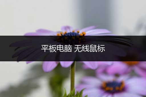 平板电脑 无线鼠标