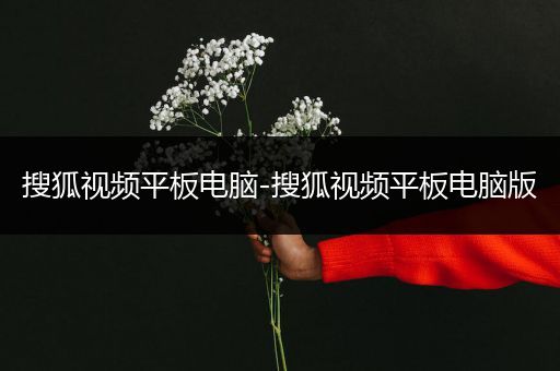 搜狐视频平板电脑-搜狐视频平板电脑版