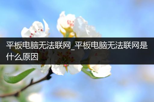 平板电脑无法联网_平板电脑无法联网是什么原因