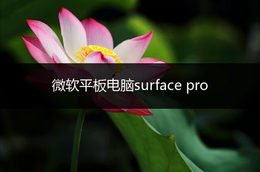 微软平板电脑surface pro