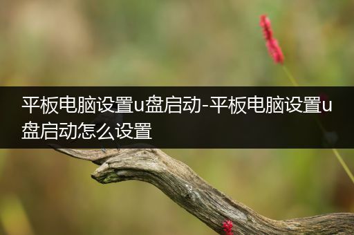 平板电脑设置u盘启动-平板电脑设置u盘启动怎么设置