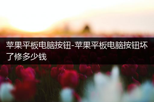 苹果平板电脑按钮-苹果平板电脑按钮坏了修多少钱