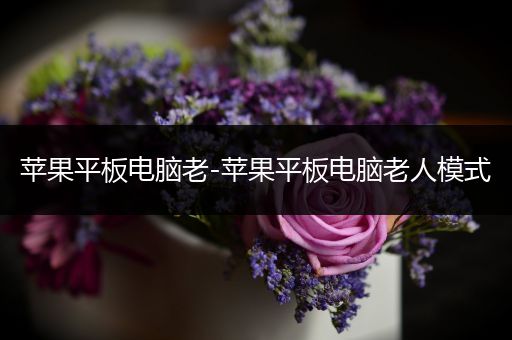 苹果平板电脑老-苹果平板电脑老人模式