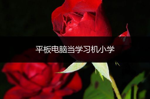 平板电脑当学习机小学