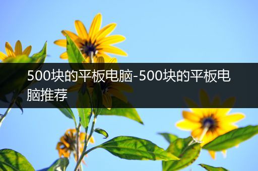 500块的平板电脑-500块的平板电脑推荐