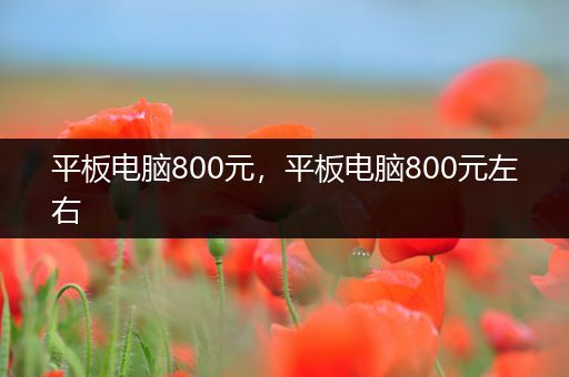 平板电脑800元，平板电脑800元左右