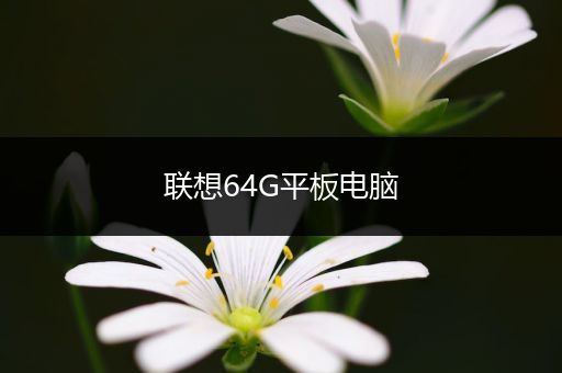 联想64G平板电脑