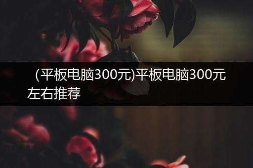 （平板电脑300元)平板电脑300元左右推荐