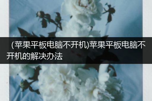 （苹果平板电脑不开机)苹果平板电脑不开机的解决办法