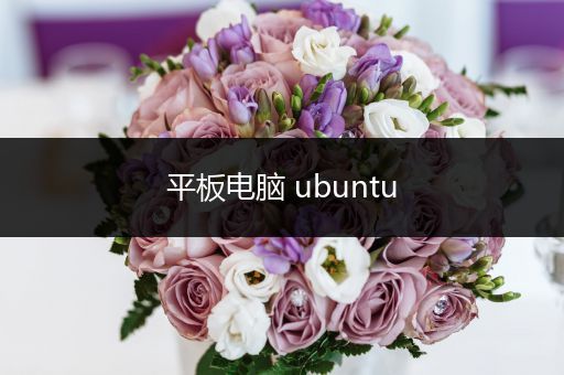 平板电脑 ubuntu